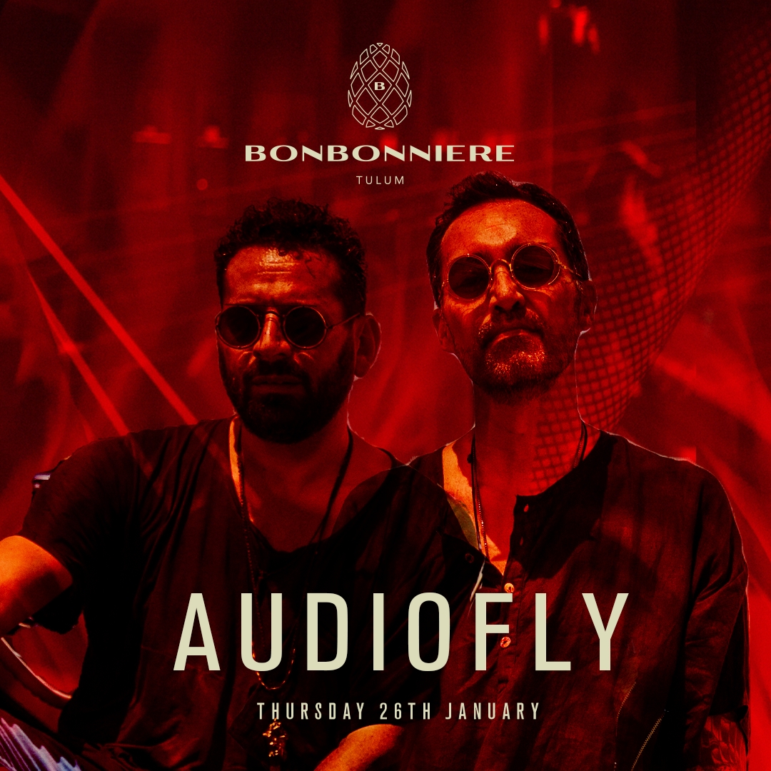 AudioFly